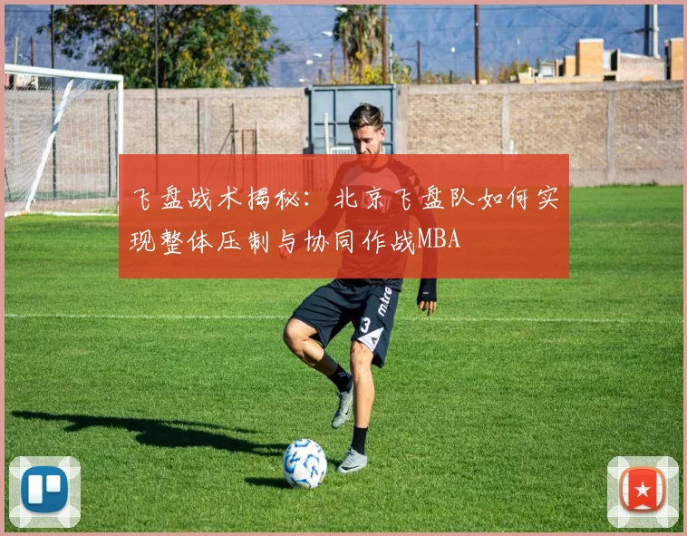 飞盘战术揭秘：北京飞盘队如何实现整体压制与协同作战MBA