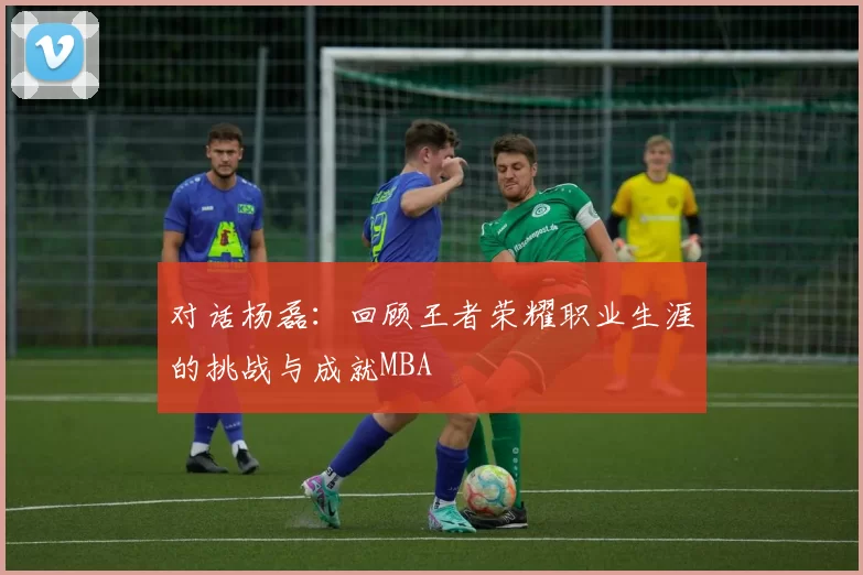 对话杨磊：回顾王者荣耀职业生涯的挑战与成就MBA