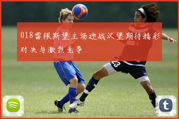 018雷根斯堡主场迎战汉堡期待精彩对决与激烈竞争
