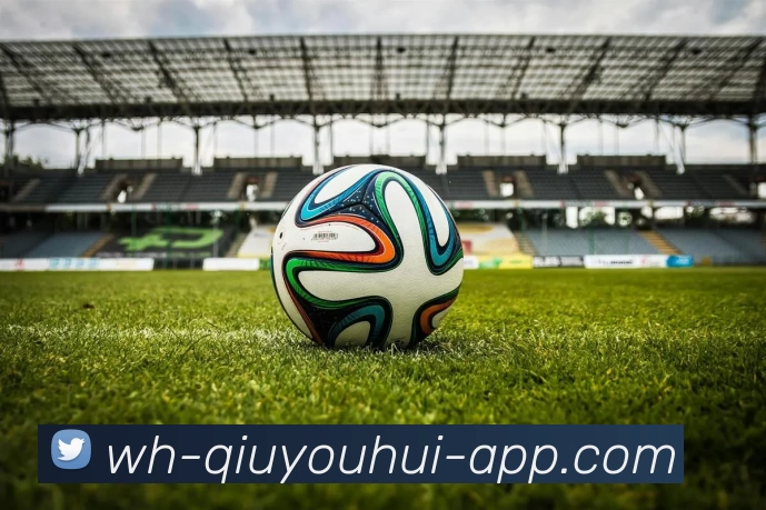 App Interface Preview