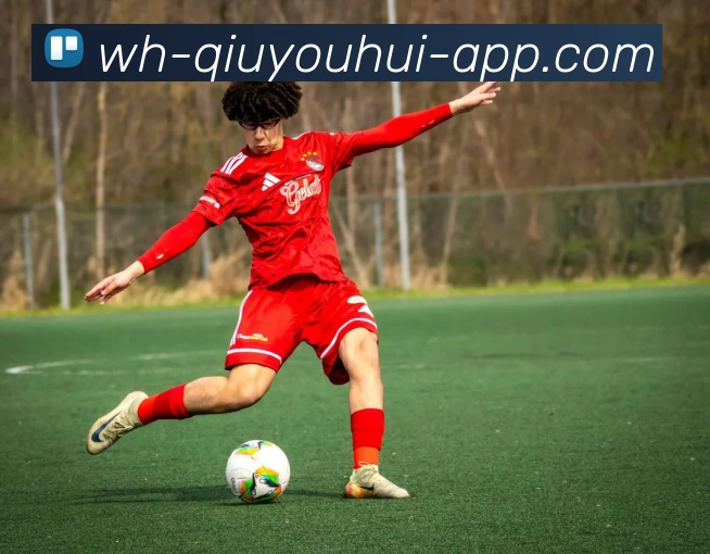 球友会体育APP 封面图